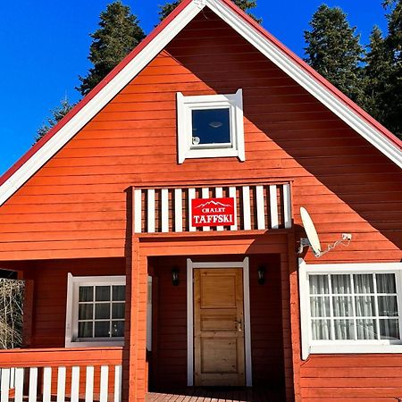 Chalet Taffski Borovets Esterno foto