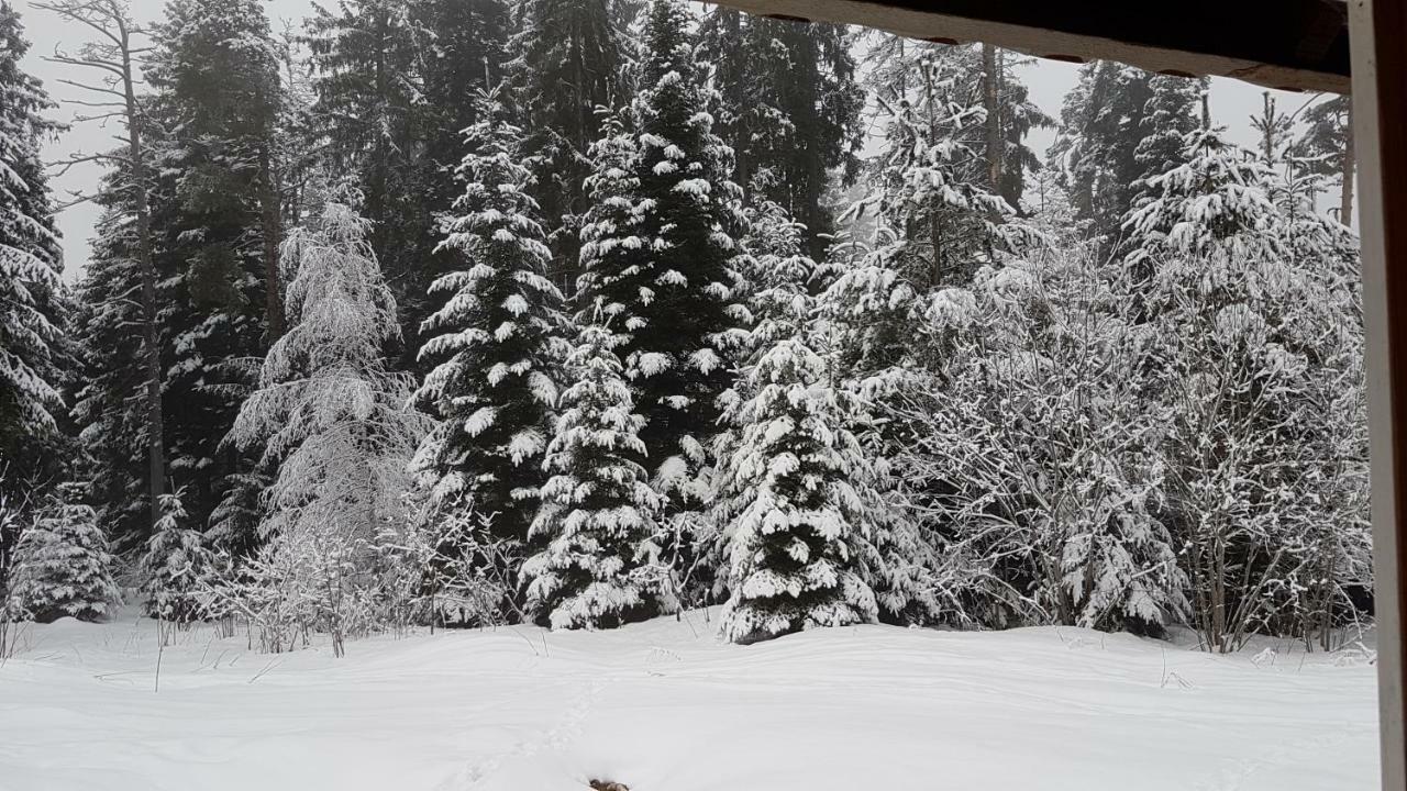 Chalet Taffski Borovets Esterno foto