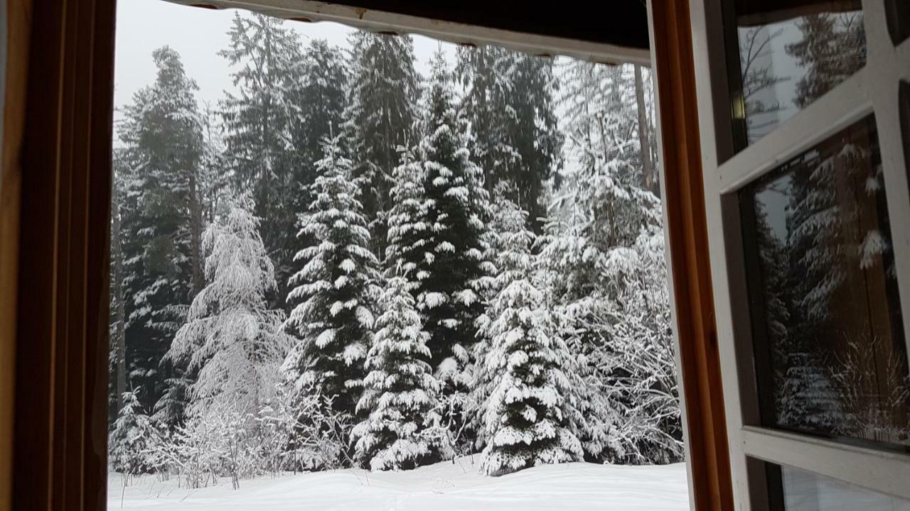Chalet Taffski Borovets Esterno foto