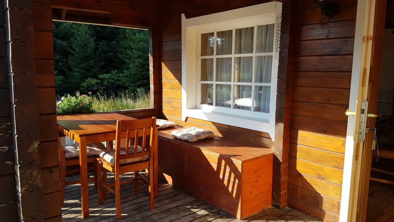 Chalet Taffski Borovets Esterno foto